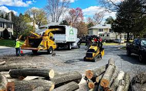 Best Tree Removal Services  in Maltby, WA